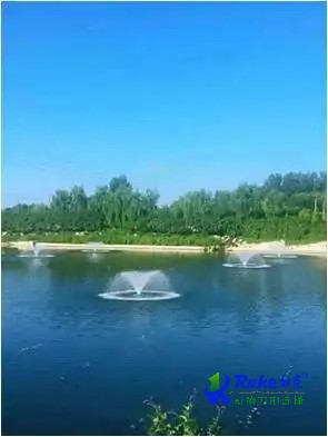 操作失誤會造成潛水曝氣機出現爬行嗎